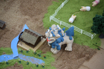 seesaafarm26.jpg
