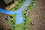 seesaafarm39.jpg