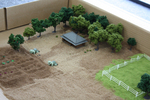 seesaafarm7.jpg
