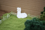 seesaafarm9.jpg